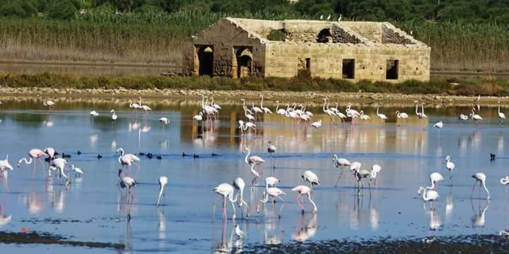 Casa Maritri Locazione Turistica Hotel Marzamemi Ngoại thất bức ảnh